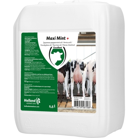 Maxi Mint Grootverpakking Incl. Dosator