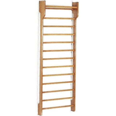 Toorx Single Wallbar - Wandrek