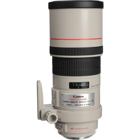 Canon EF 300mm F/4.0 L USM IS