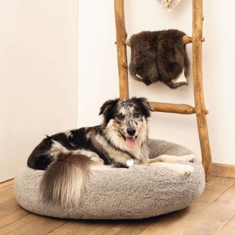 Beeztees Orthopedische hondenmand Jaxx Grijs 50 cm