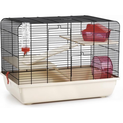 KNAAGDIERENK REX 2 ZWT/BGE 59X38X43