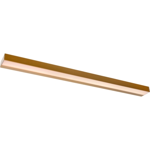 Lucide Alexa Wandlamp LED Badkamer Large Mat Goud