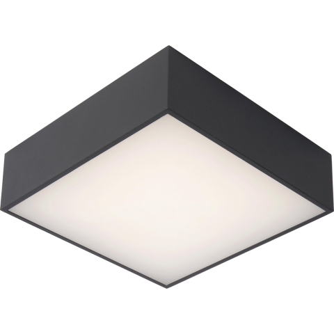 Lucide Roxane Plafondlamp LED Vierkant Badkamer IP54