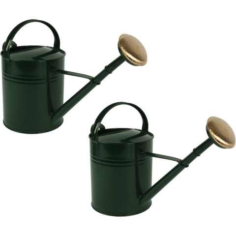 2x stuks gieter groen metaal met broeskop 10 liter -
