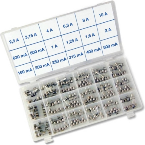 Püschel Feinsicherungen SORTI18FB SORTI18FB Buiszekering (Ø x l) 5 mm x 20 mm Snel -F- Inhoud 180 stuk(s)