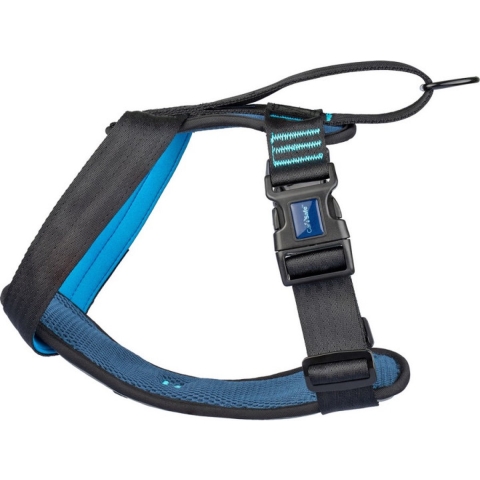 CarSafe Crash Tested - Hondentuig - Blauw - M