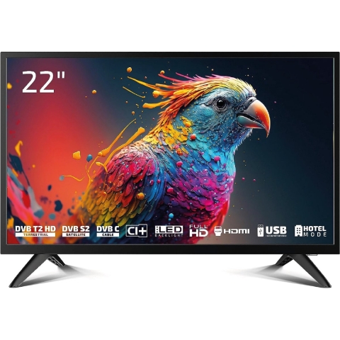 Dyon Enter 22 Pro X2 LED-TV 55 cm 22 inch Energielabel E (A - G) CI+*, DVB-C, DVB-S2, DVB-T2, Full HD Zwart