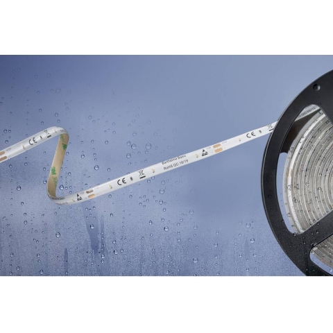 Barthelme Basic 51540434 51540434 LED-strip Met open kabeleinde 12 V 5 m Koudwit 1 stuk(s)