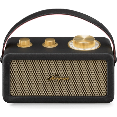 Sangean RA-101 Draagbare radio FM Bluetooth, AUX Oplaadbaar Zwart, Goud