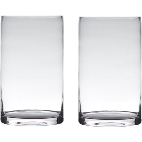 Set van 2x stuks transparante home-basics cylinder vorm vaas/vazen van glas 40 x 15 cm -
