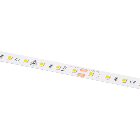 Barthelme LEDlight flex 12 10 LITE 500, Rolle 500 cm 50414133 LED-strip 24 V 500 cm Warmwit
