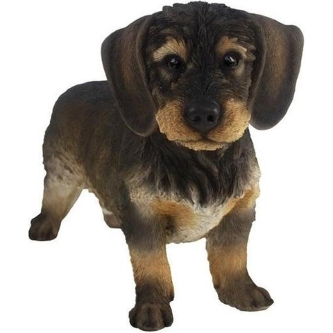 Decoratie dieren beeld ruwharige teckel hond donkerbruin 29 cm -