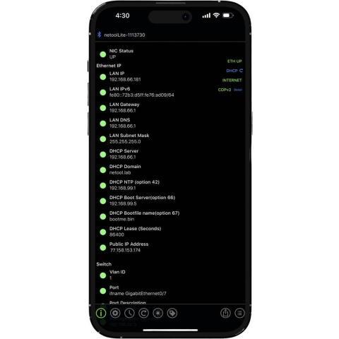 Netool IO NE1E netool.io Lite Smarter Netzwerktester Netwerktester Netwerk