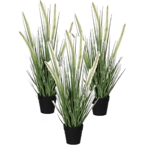 3x stuks groene Dogtail/siergras kunstplant 53 cm in zwarte pot -