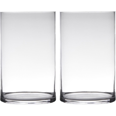 Set van 2x stuks transparante home-basics cylinder vorm vaas/vazen van glas 30 x 19 cm -