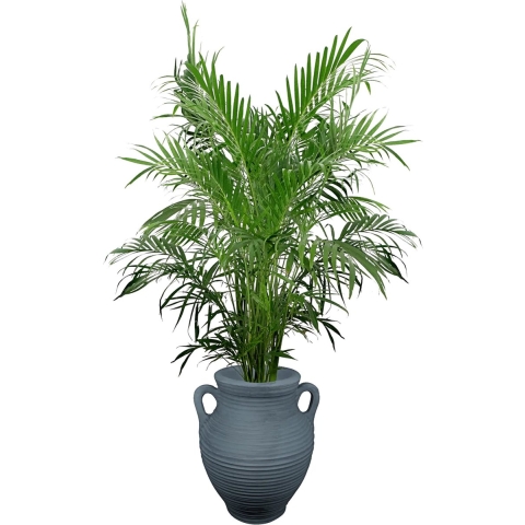 Atheens grijs 35L plantenbak - Prestige
