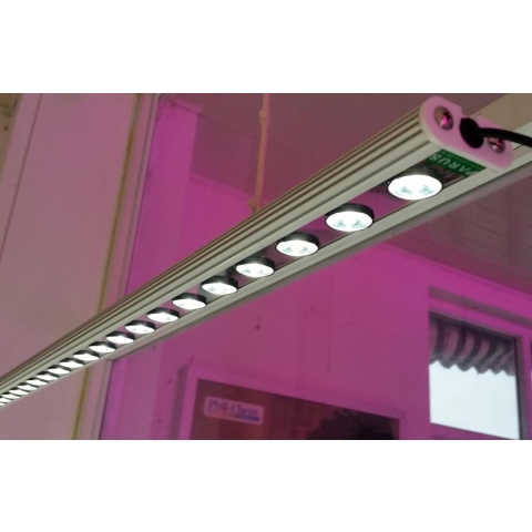 Parus Linear langwerpige kweeklamp led wit 60 graden 20w 60cm - BTT