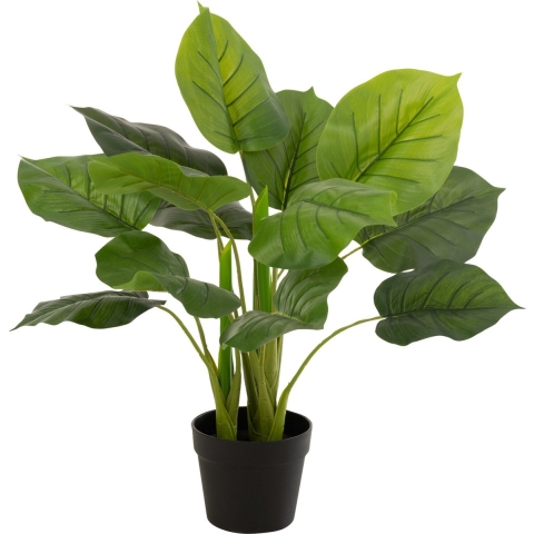 J-Line Pothos Plant In Pot Plastiek Groen