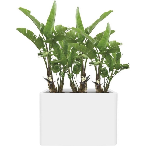 Elho Pure Soft Brick Divider Large Plantenbak 80 cm