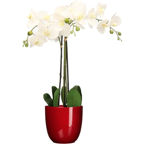 Orchidee kunstplant wit - 75 cm - inclusief bloempot rood glans -