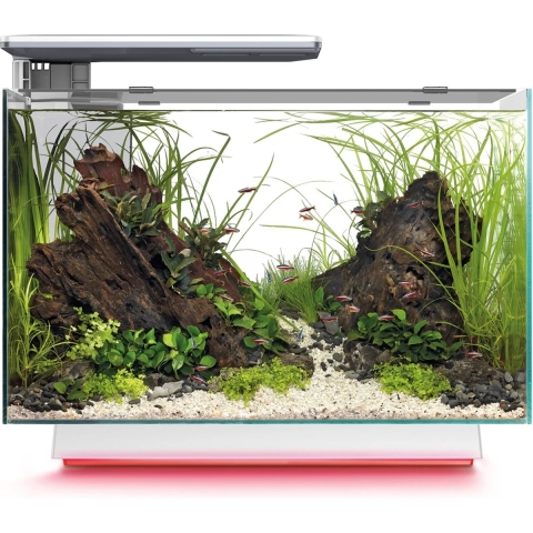 SuperFish Aquarium quadro 70 multi colour wit - SuperFish
