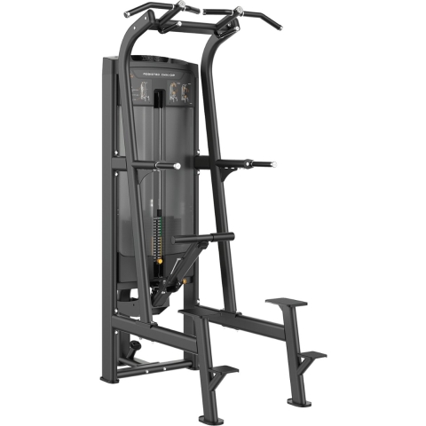 Toorx Professional Assisted Pull-up / Dip PLX-8400