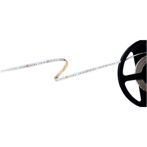 Barthelme Basic 120 51540913 LED-strip Met open kabeleinde 24 V 5 m Groen 1 stuk(s)