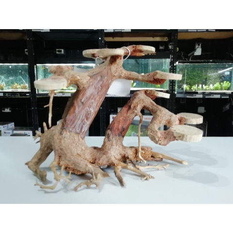 Bonsai Planter Large aquaria - SuperFish