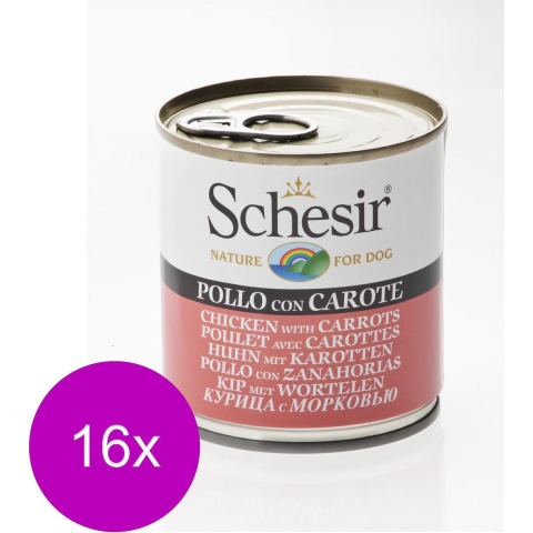 16x Schesir Hondenvoer Kip Wortel in Gelei 285 gr