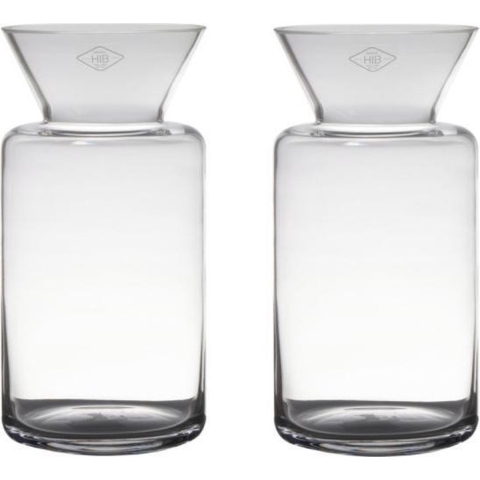 Set van 2x stuks transparante luxe vaas/vazen van glas 30 x 15 cm -