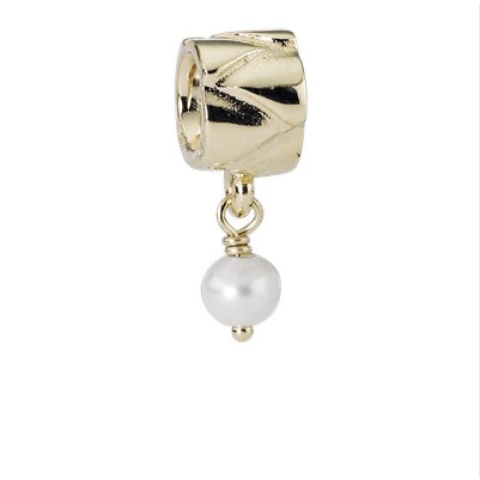 Hikoki Accessoires Boor Groot Steekas 24X330 - 750219