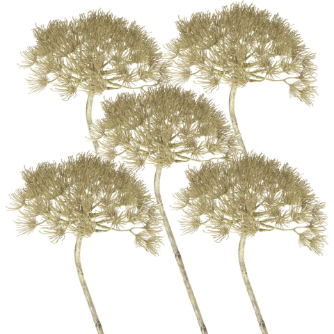 Set van 5x stuks berenklauw / Heracleum kunstbloem 80 cm -