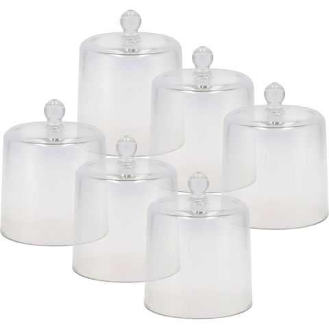 Amuse cloche - 6x stuks - transparant glas - D13 x H16 cm - hapjes stolp - amuseschaaltje -