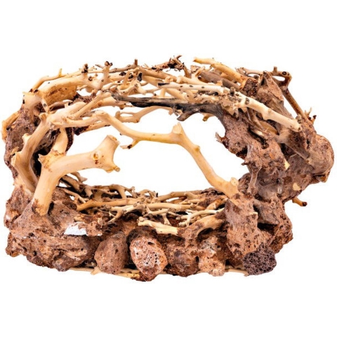 Bonsai rock large - Aquadistri