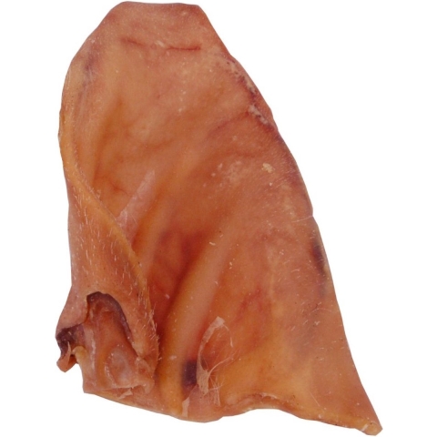 Varkensoren 100 stuks
