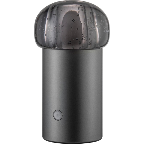 Blomus Iris Tafellamp LED Gun Metal