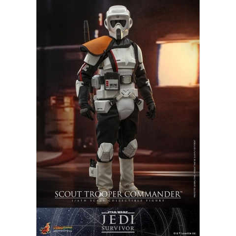 Hot Toys Star Wars Scout Trooper Commander
