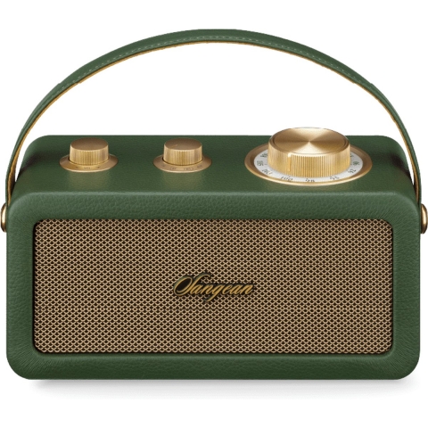 Sangean RA-101 Draagbare radio FM Bluetooth, AUX Oplaadbaar Groen, Goud