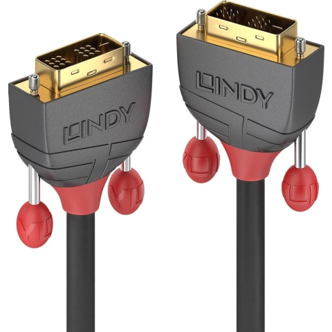 LINDY 36243 DVI-kabel DVI Aansluitkabel DVI-D 18+1-polige stekker, DVI-D 18+1-polige stekker 25.00 m Zwart