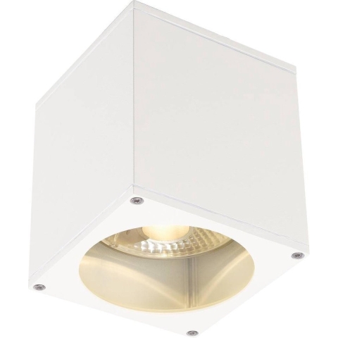 SLV 229551 Big Theo Buitenplafondlamp Halogeen, LED GU10 75 W Wit