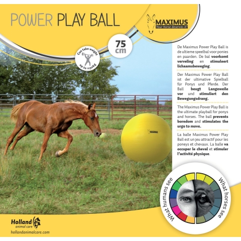 Maximus Power Play Ball 75Cm