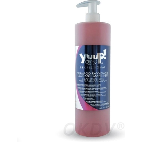 Black Revitalizing & Glossing shampoo 1 ltr