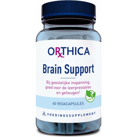 Brain Support