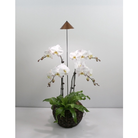 Parus iSun paraplu kweeklamp 7w koper - Btt