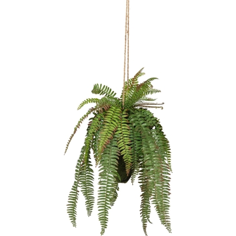 Plant Woood Varen Hangend 58cm 375139-G