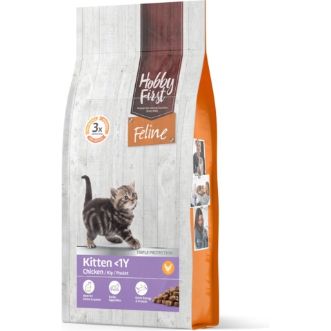 4x HobbyFirst Feline Kitten<1 jaar 1,5 kg