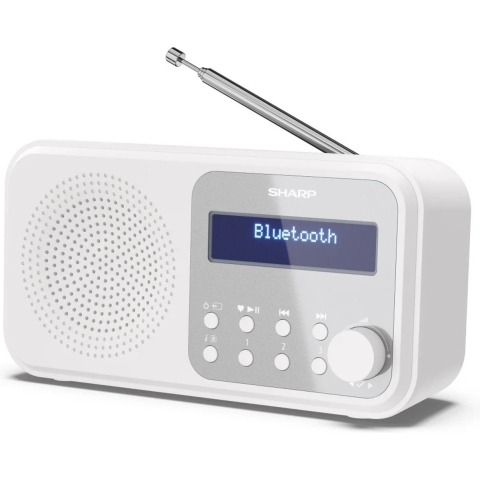 Sharp DR-P420 WIT radio met klok
