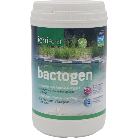 Ichi Pond Ichi Pond Bactogen 24000 - Aquatic Science