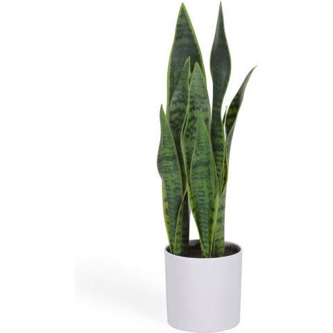 Kave Home Sansevieria Kunstplant 55