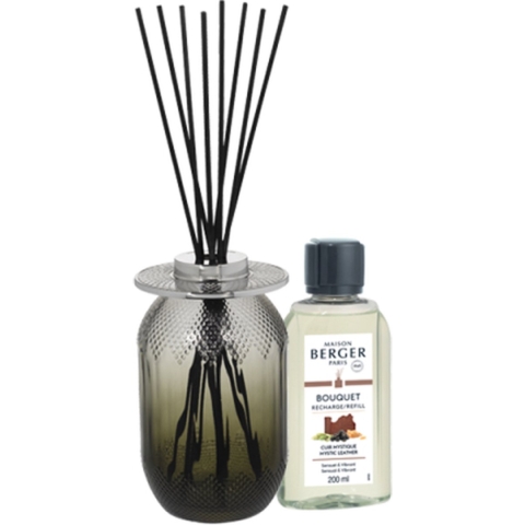 Maison Berger Geurstokjes Evanescence - Gris - 200 ml